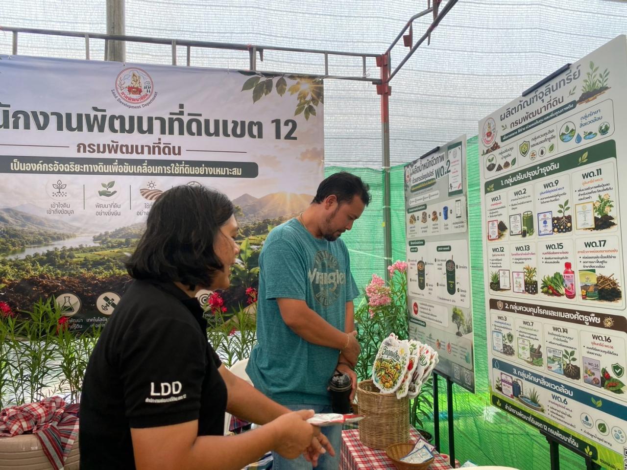 ภาพประกอบที่ 17