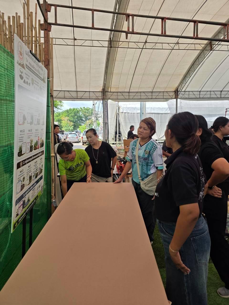 ภาพประกอบที่ 27
