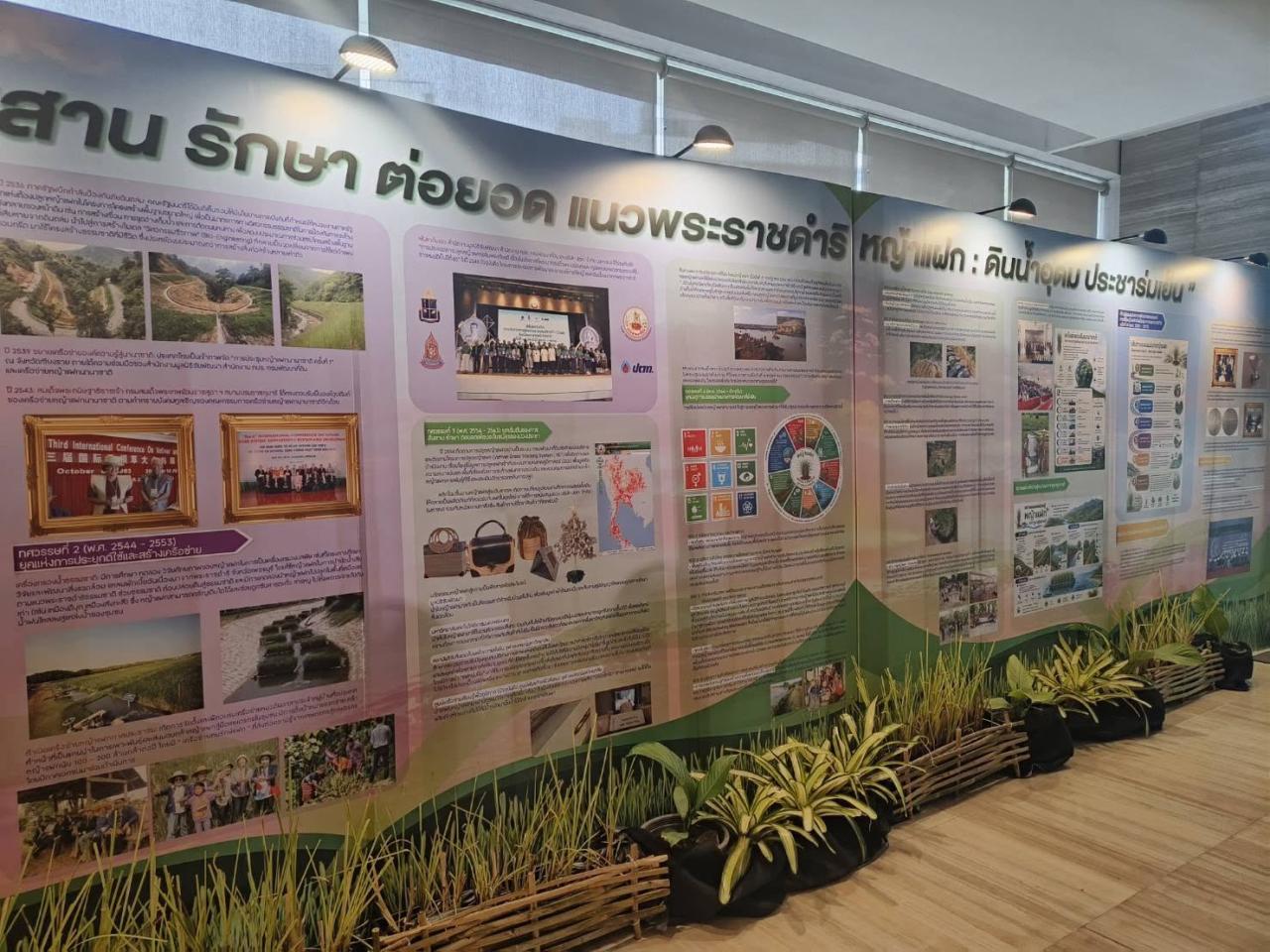ภาพประกอบที่ 17