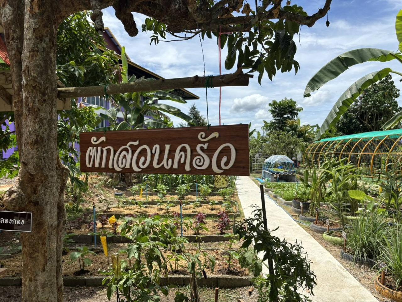 ภาพประกอบที่ 13
