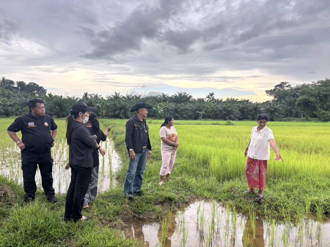 ภาพประกอบที่ 1