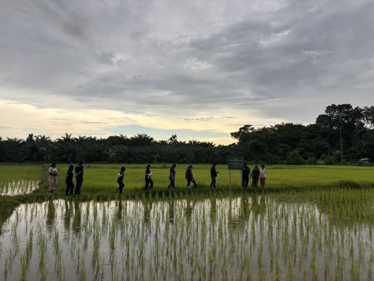 ภาพประกอบที่ 3