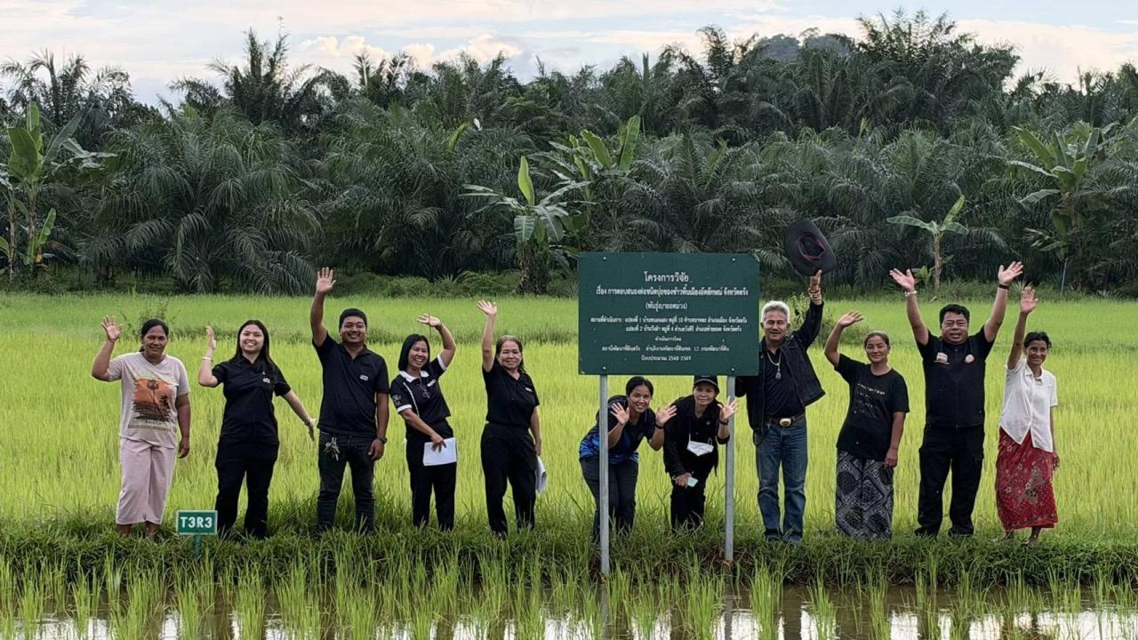 ภาพประกอบที่ 4