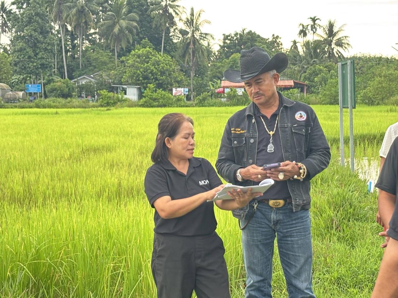 ภาพประกอบที่ 7