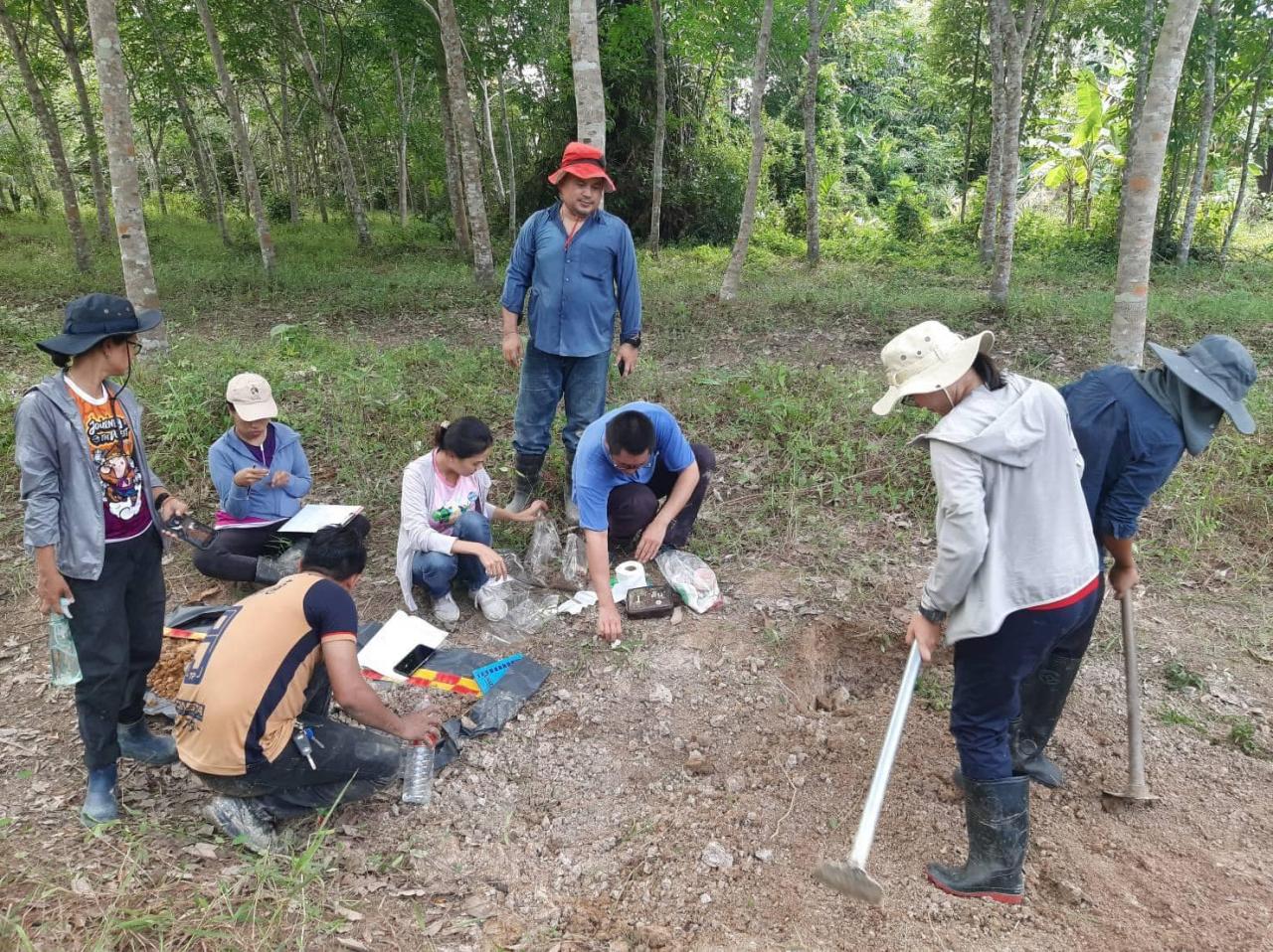 ภาพประกอบที่ 0