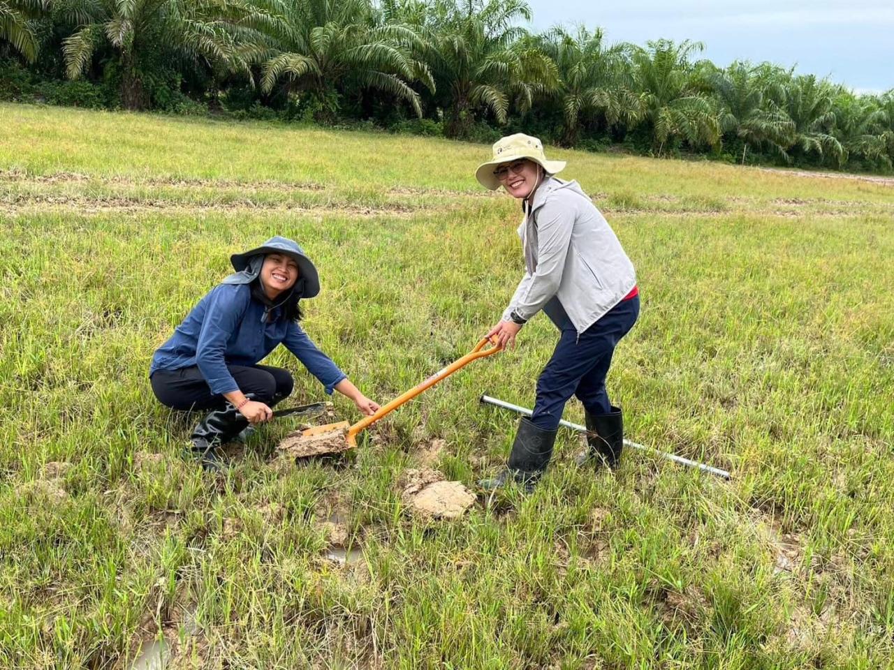 ภาพประกอบที่ 1