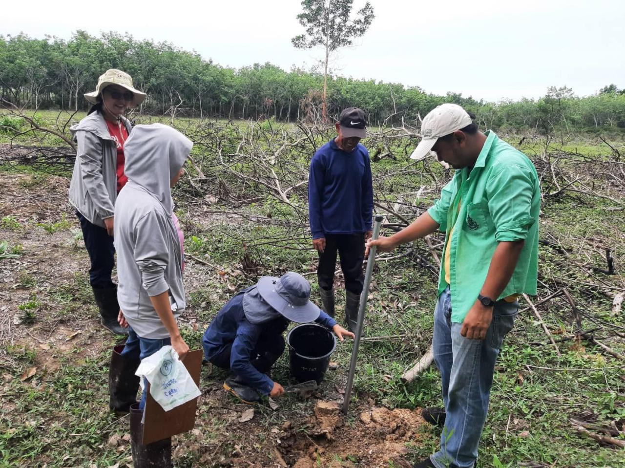 ภาพประกอบที่ 2