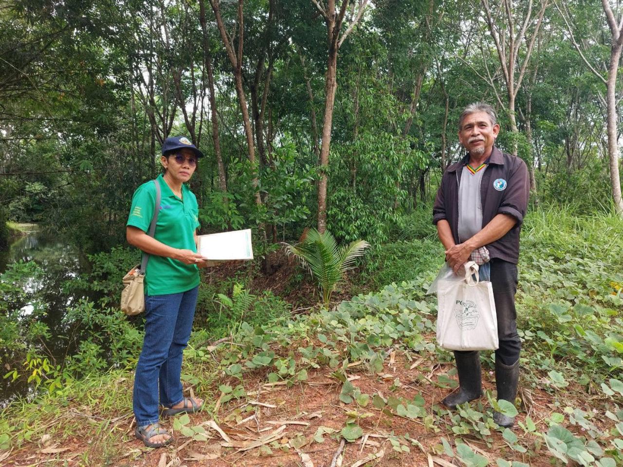 ภาพประกอบที่ 2