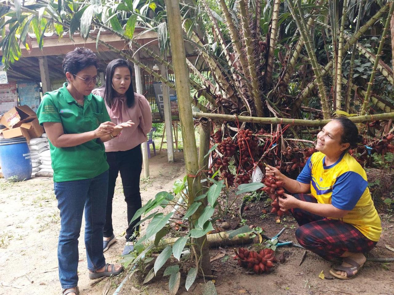 ภาพประกอบที่ 4
