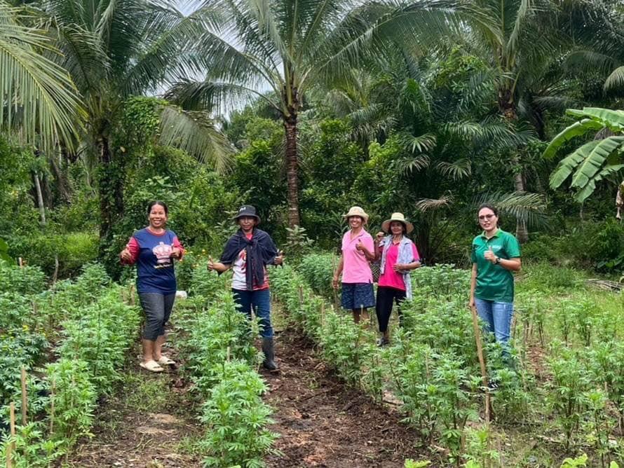 ภาพประกอบที่ 5