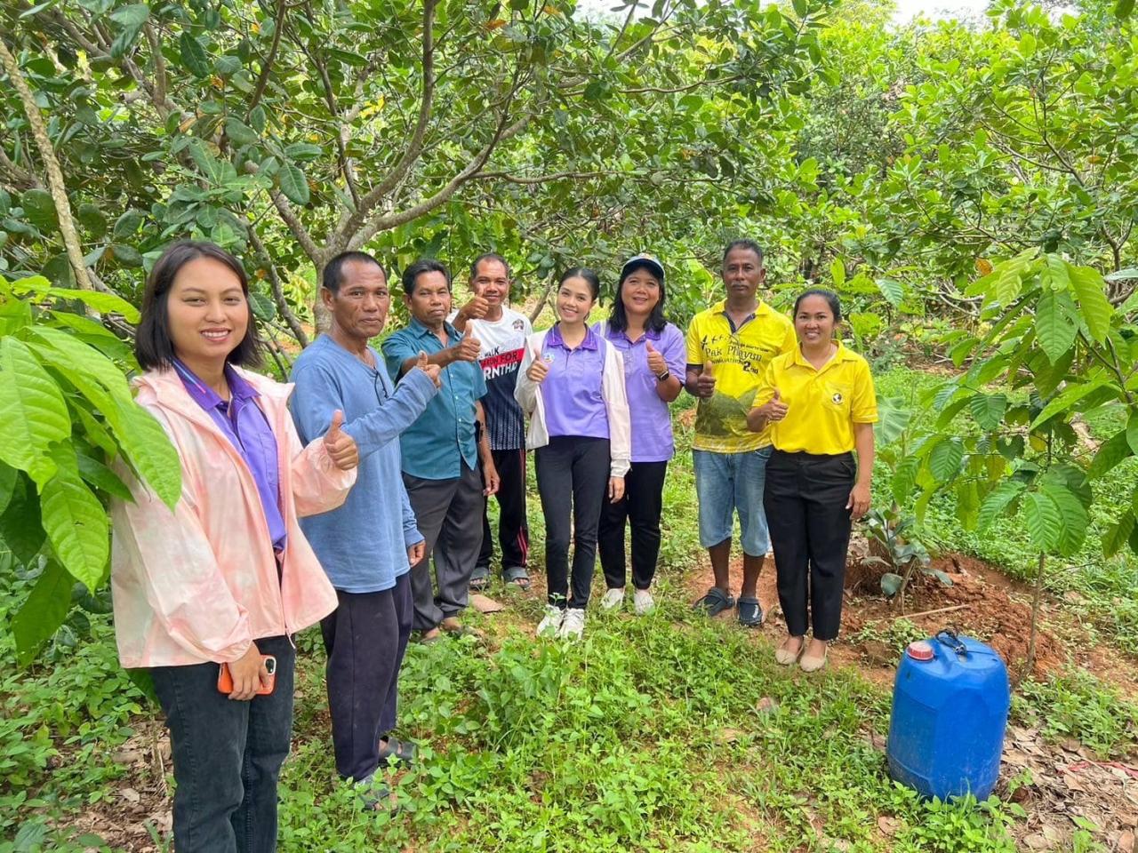 ภาพประกอบที่ 8