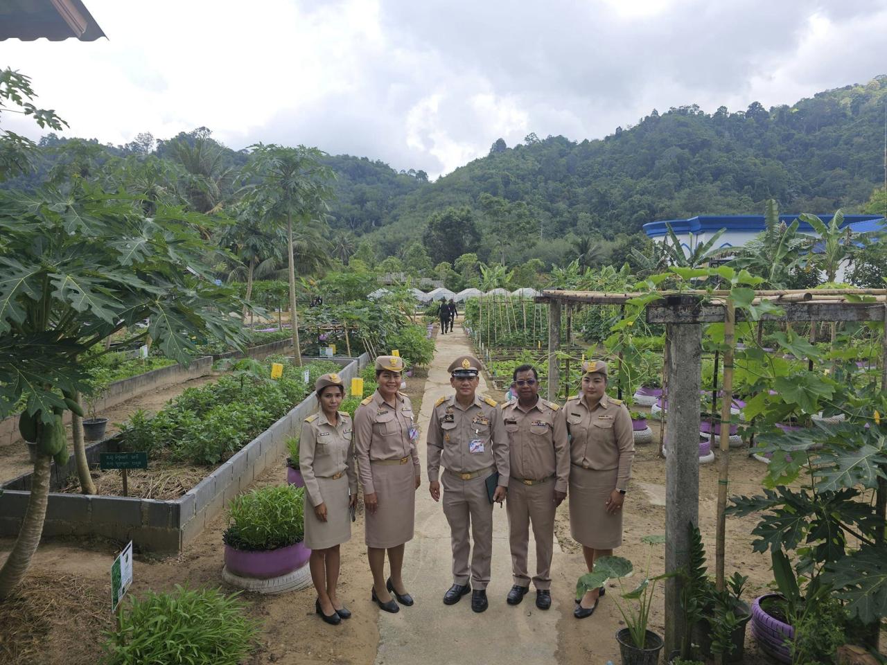 ภาพประกอบที่ 4