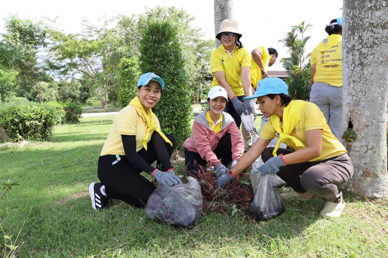 ภาพประกอบที่ 3