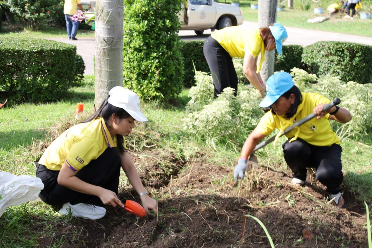 ภาพประกอบที่ 12