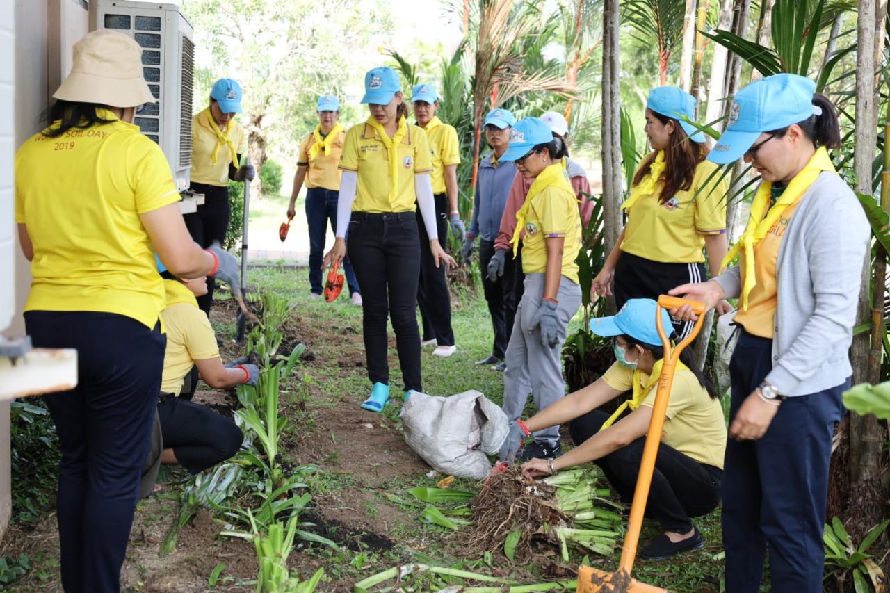 ภาพประกอบที่ 15