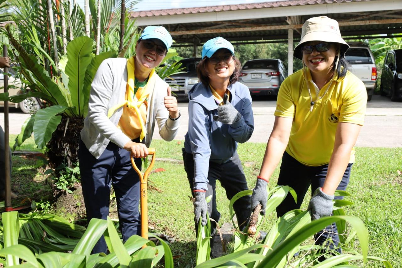 ภาพประกอบที่ 16