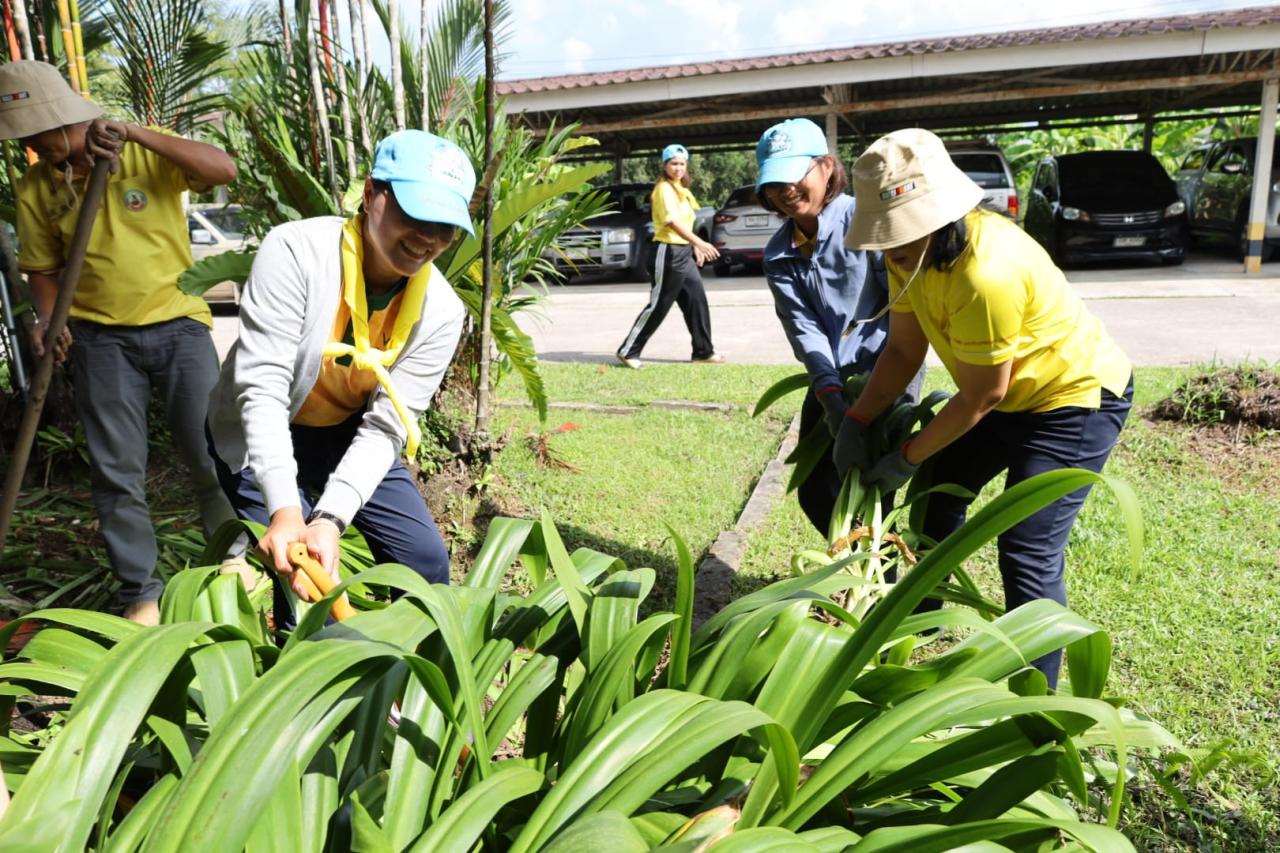 ภาพประกอบที่ 17