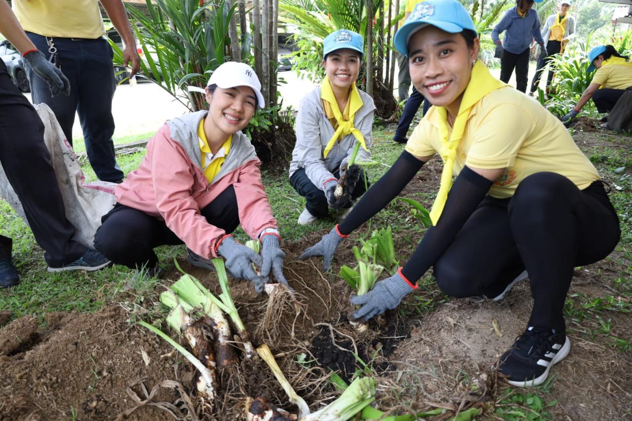 ภาพประกอบที่ 18