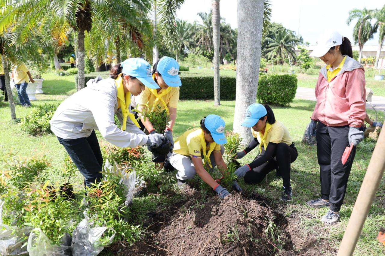 ภาพประกอบที่ 21