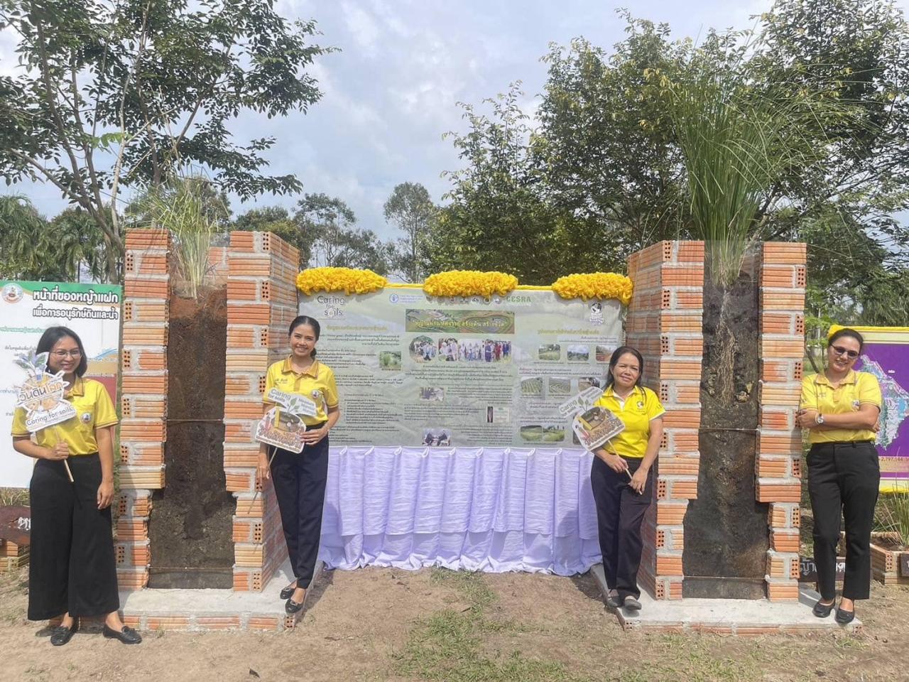 ภาพประกอบที่ 11