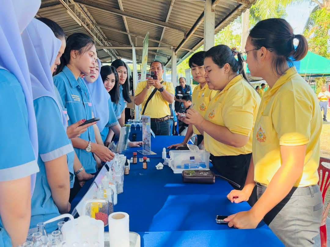 ภาพประกอบที่ 11