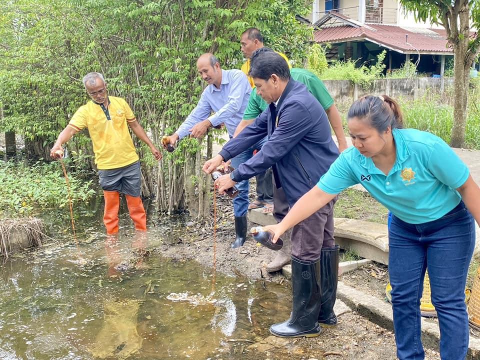 ภาพประกอบที่ 1