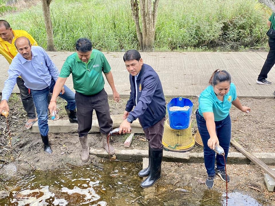 ภาพประกอบที่ 3