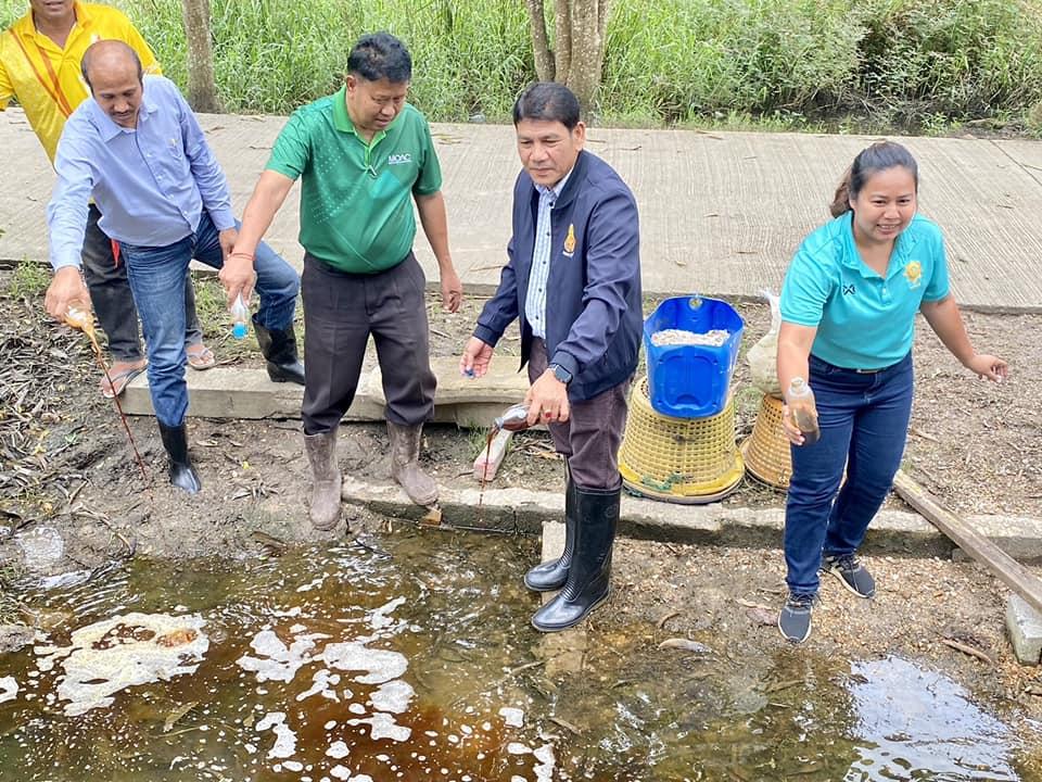 ภาพประกอบที่ 4