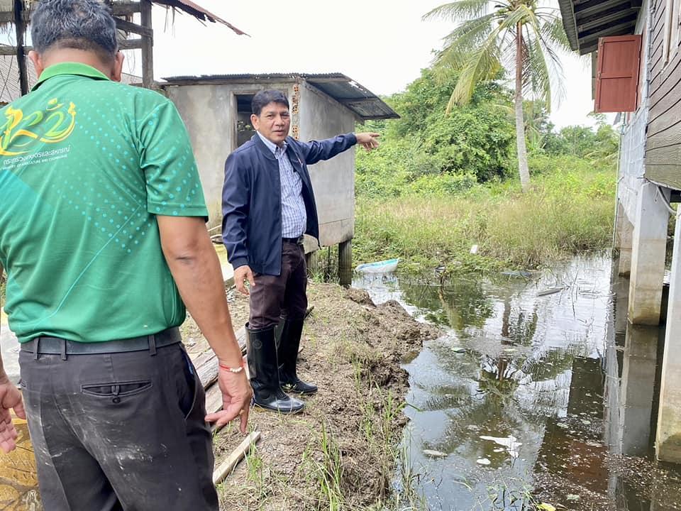 ภาพประกอบที่ 5