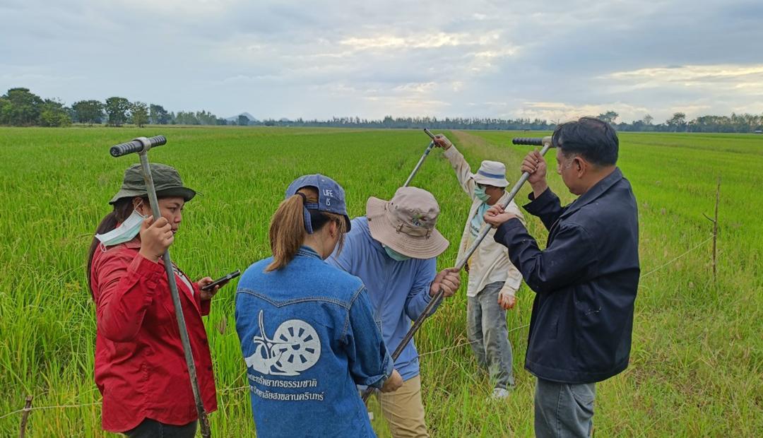 ภาพประกอบที่ 4