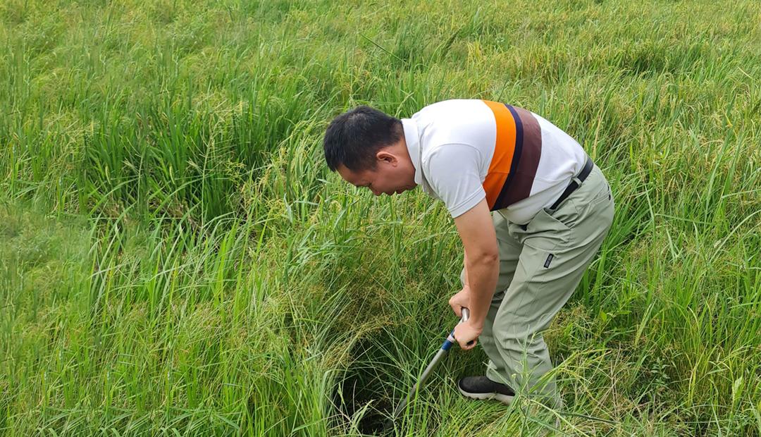 ภาพประกอบที่ 8