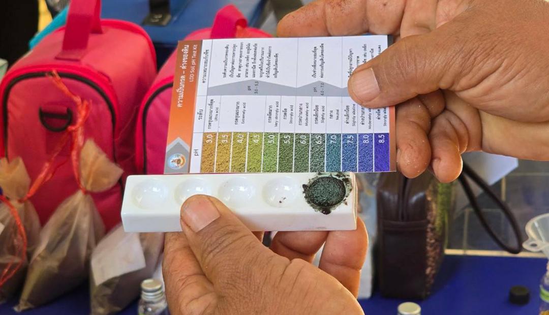 ภาพประกอบที่ 2