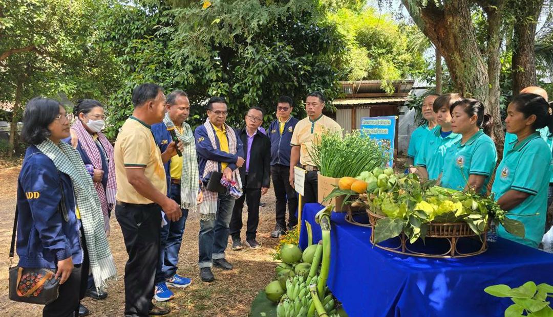 ภาพประกอบที่ 6