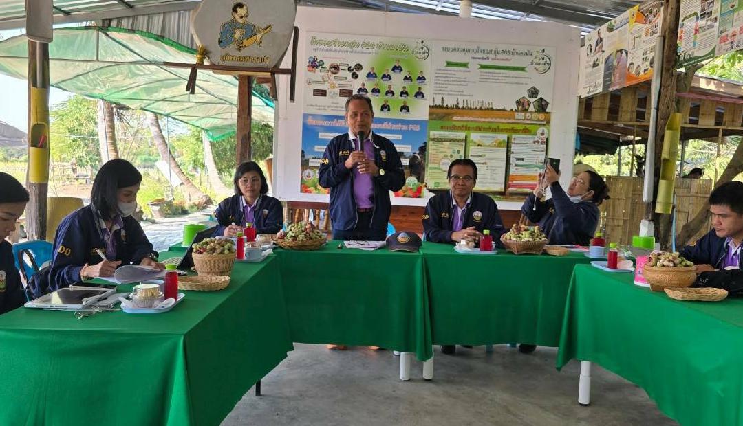 ภาพประกอบที่ 0