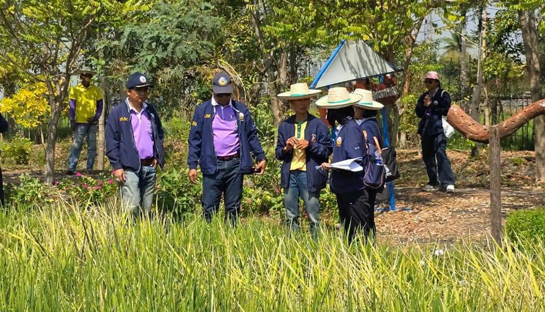 ภาพประกอบที่ 5
