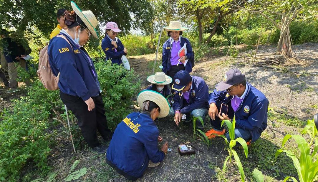 ภาพประกอบที่ 8