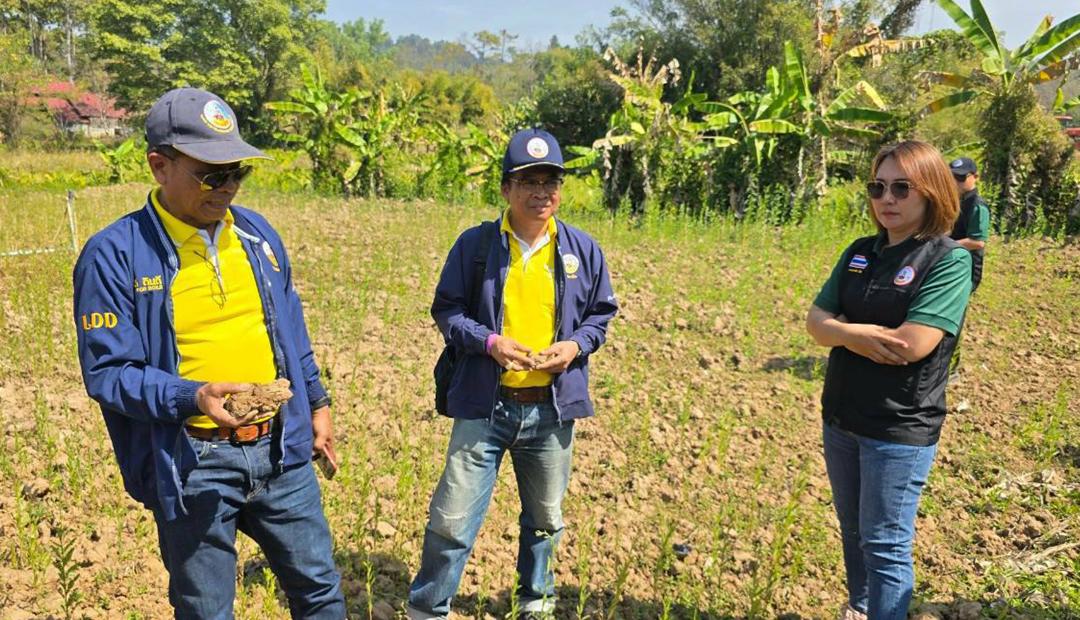 ภาพประกอบที่ 3