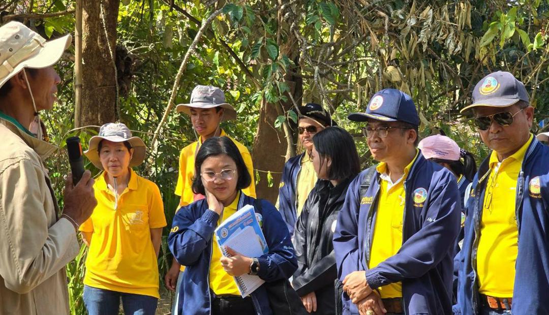 ภาพประกอบที่ 5