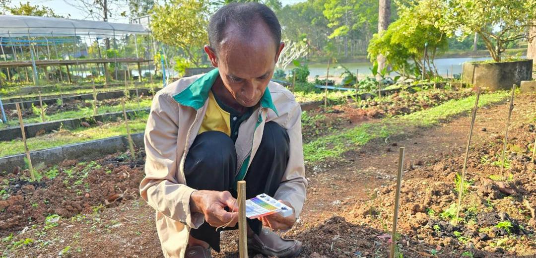 ภาพประกอบที่ 0