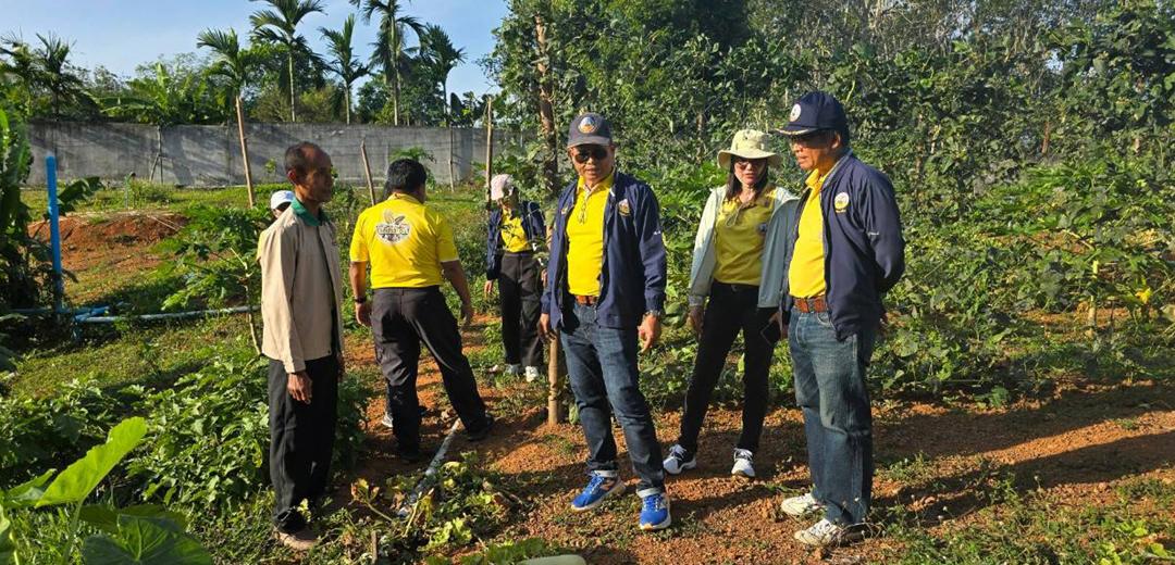 ภาพประกอบที่ 3