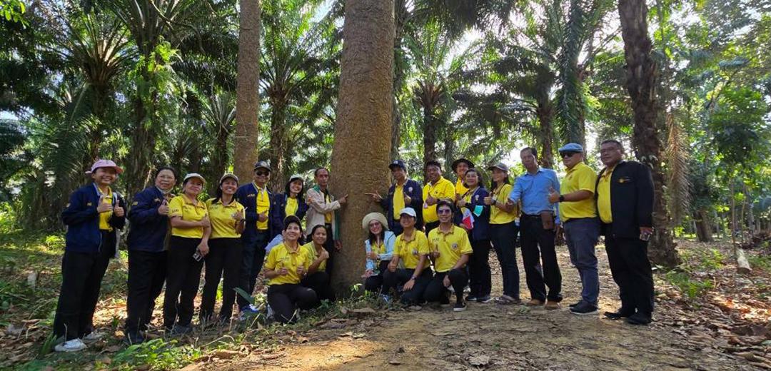 ภาพประกอบที่ 4