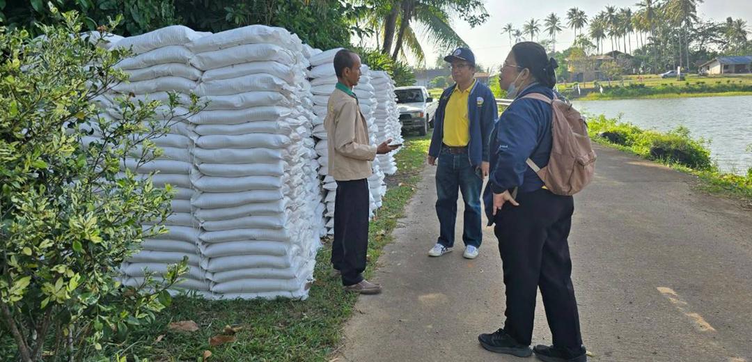 ภาพประกอบที่ 5