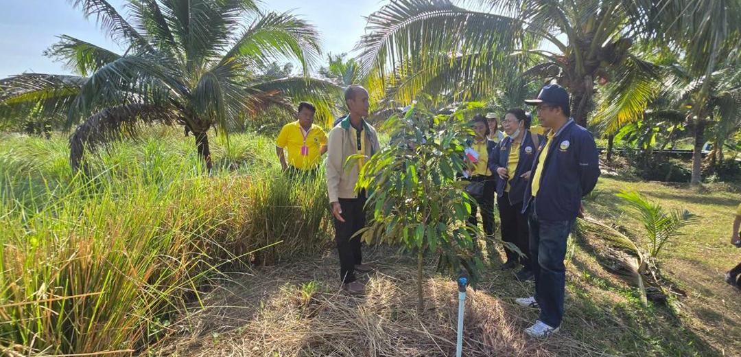 ภาพประกอบที่ 6