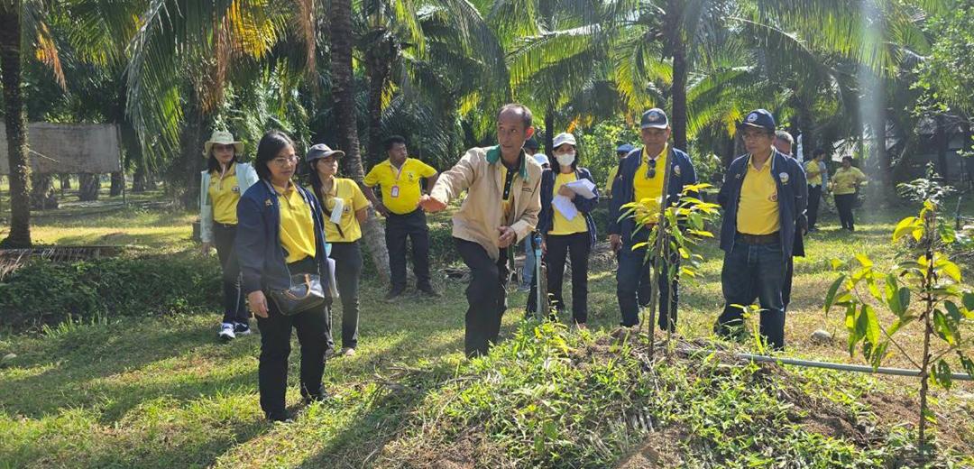 ภาพประกอบที่ 7