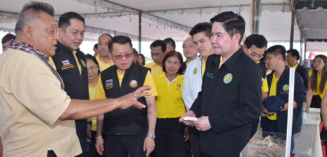 ภาพประกอบที่ 5