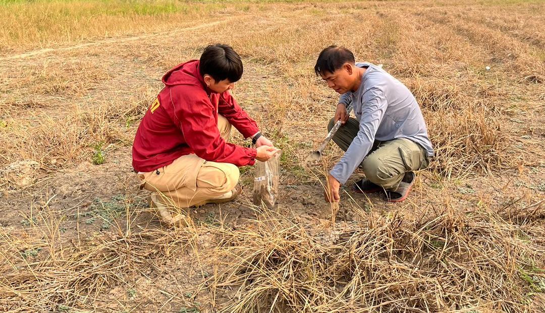 ภาพประกอบที่ 1