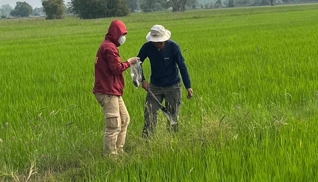 ภาพประกอบที่ 2