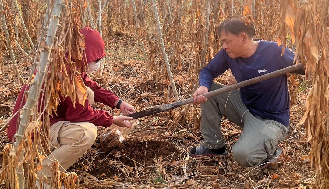 ภาพประกอบที่ 4