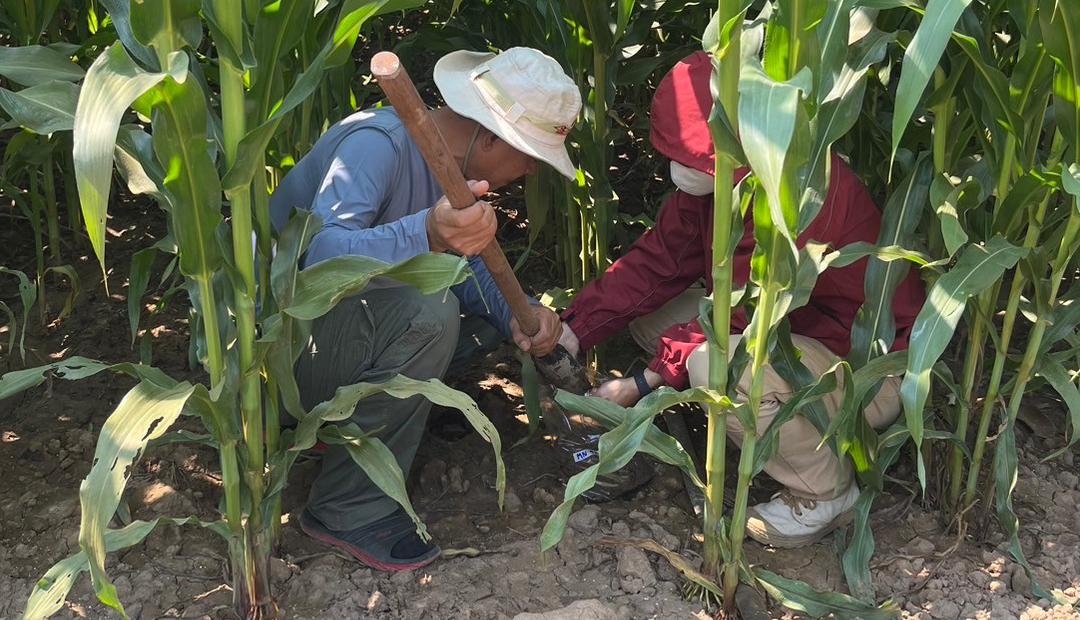 ภาพประกอบที่ 5