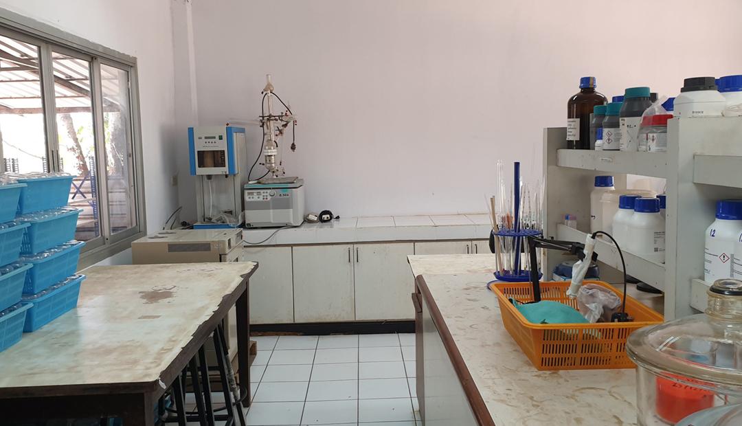 ภาพประกอบที่ 12